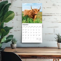 Highland Cows 2026 Wall Calendar