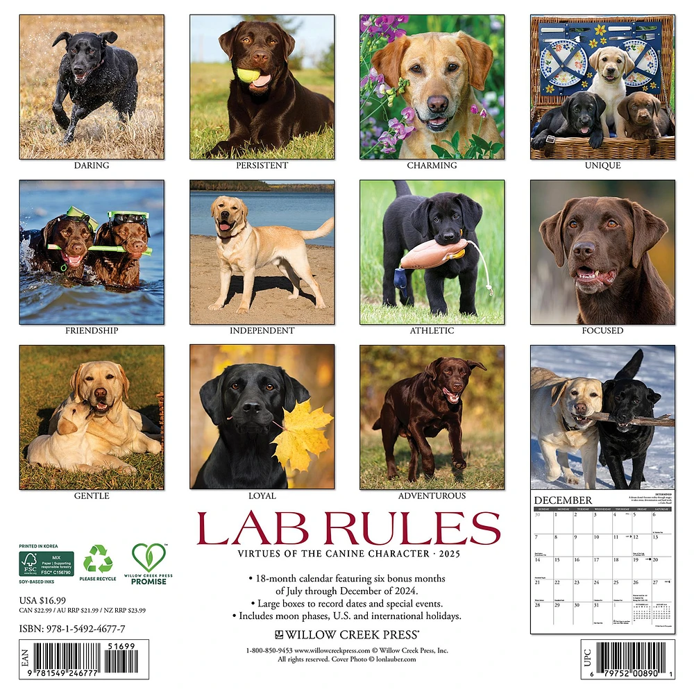 Lab Rules Wall 2025 Calendar