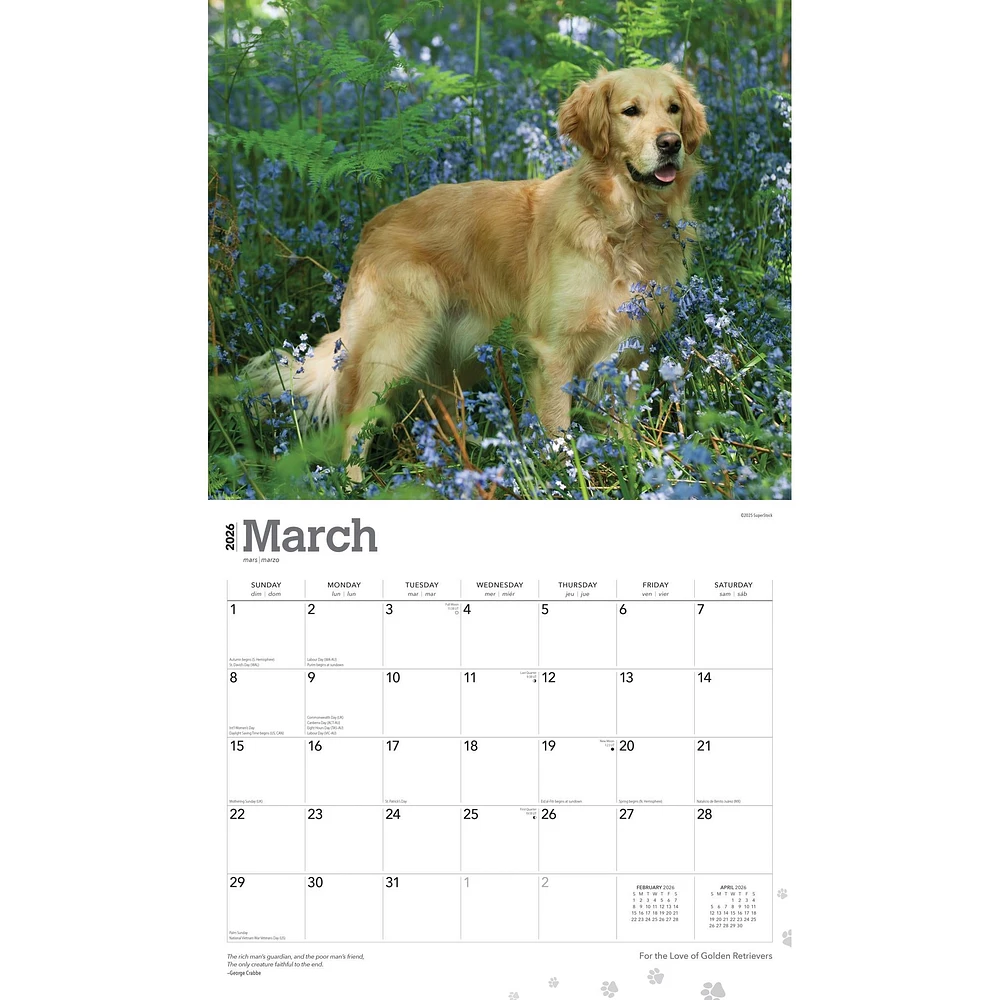 For The Love Of Golden Retrievers 2026 Wall Calendar