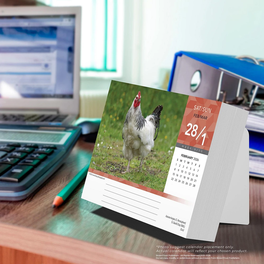 Chickens 2026 Box Calendar - Online Exclusive
