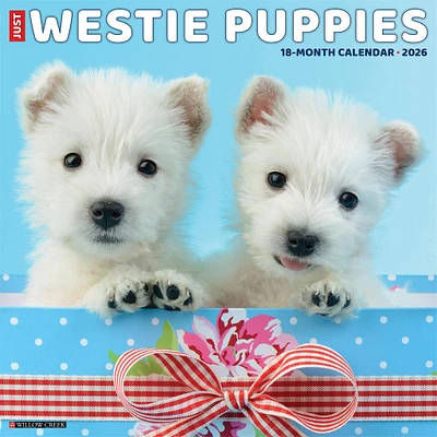 Westie Puppies 2026 Wall Calendar - Online Exclusive