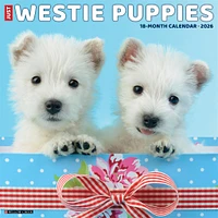 Westie Puppies 2026 Wall Calendar - Online Exclusive