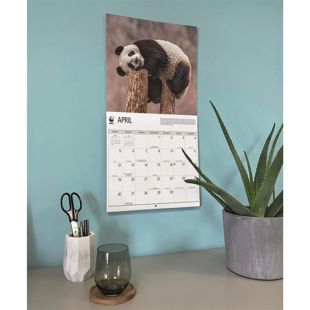 World Wildlife Fund Giant Pandas  2026 Wall Calendar