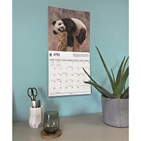 World Wildlife Fund Giant Pandas  2026 Wall Calendar