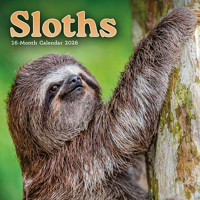 Sloths 2026 Mini Calendar