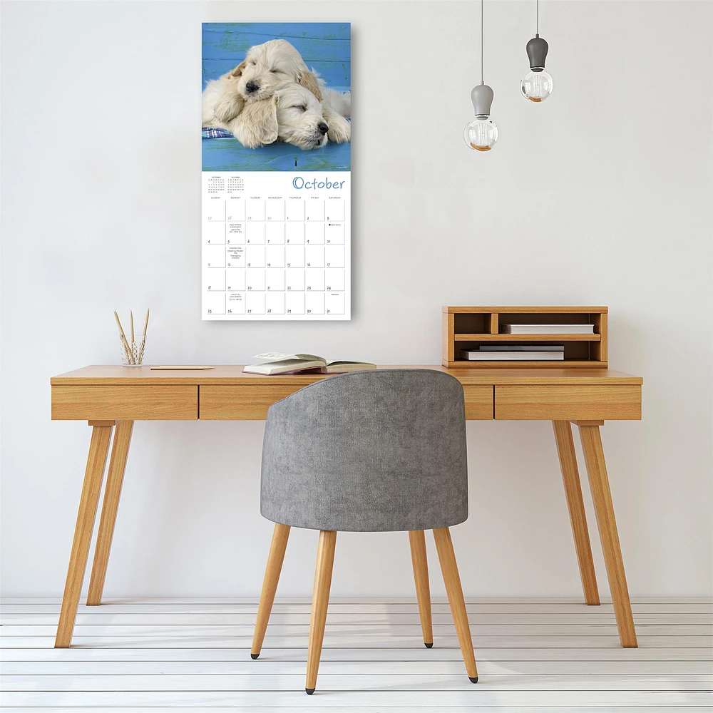 Pooped Puppies 2026 Wall Calendar - Online Exclusive