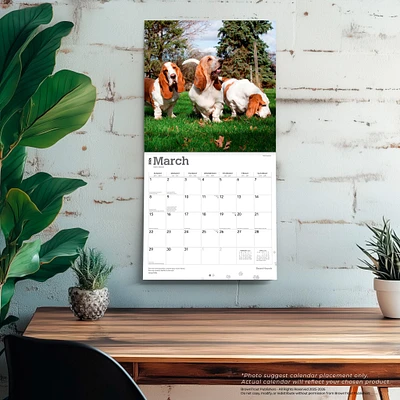 Basset Hounds 2026 Wall Calendar