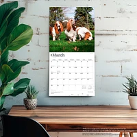 Basset Hounds 2026 Wall Calendar