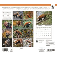 World Wildlife Fund Red Pandas  2026 Wall Calendar