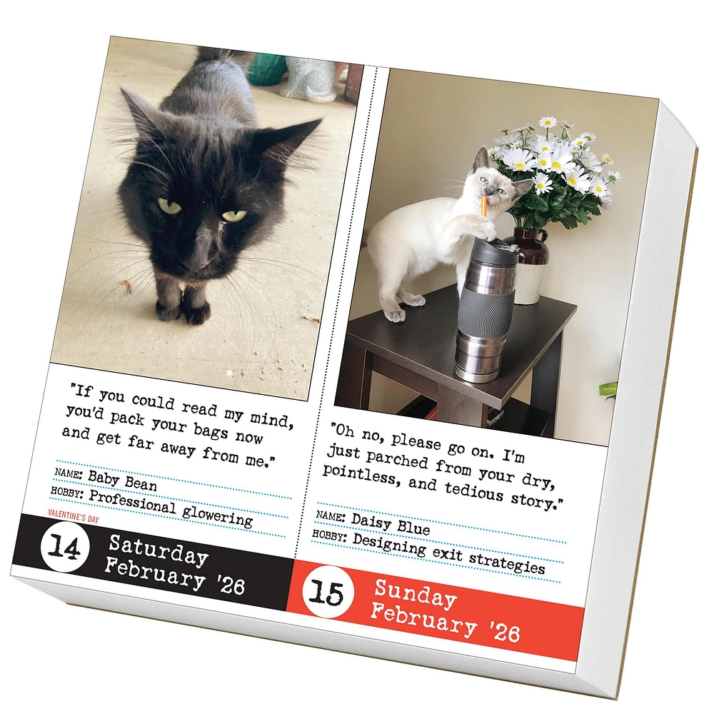 Bad Cat 2026 Box Calendar