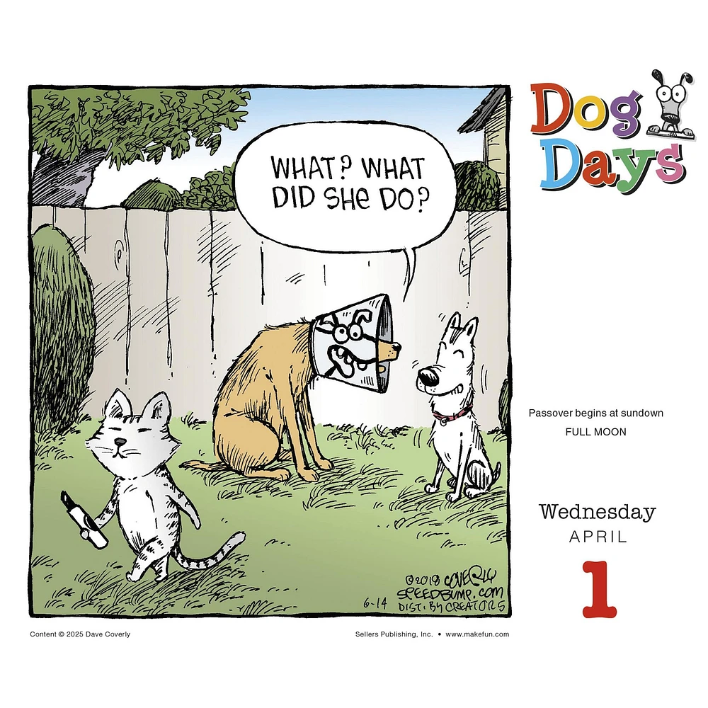 Dog Days 2026 Box Calendar