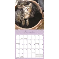 Naptime 2026 Mini Calendar