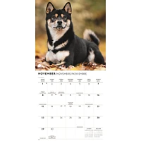 Shiba Inu 2026 Wall Calendar