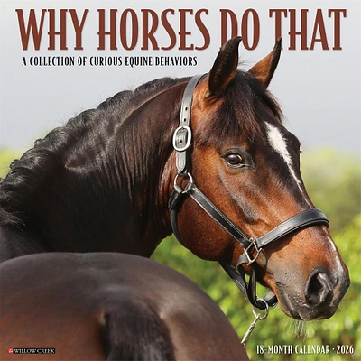 Why Horses Do That 2026 Wall Calendar