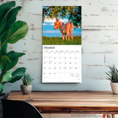 Donkeys 2026 Wall Calendar