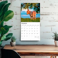 Donkeys 2026 Wall Calendar