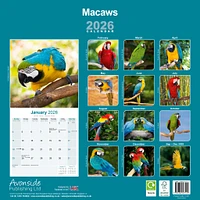 Macaws 2026 Wall Calendar