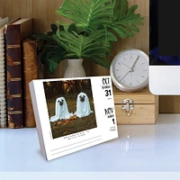 Doug The Pug 2026 Box Calendar
