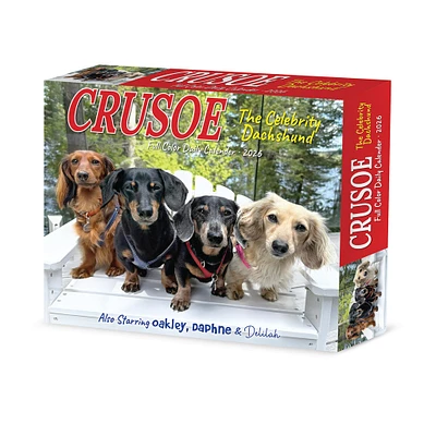 Crusoe The Celebrity Dachshund 2026 Box Calendar - Online Exclusive