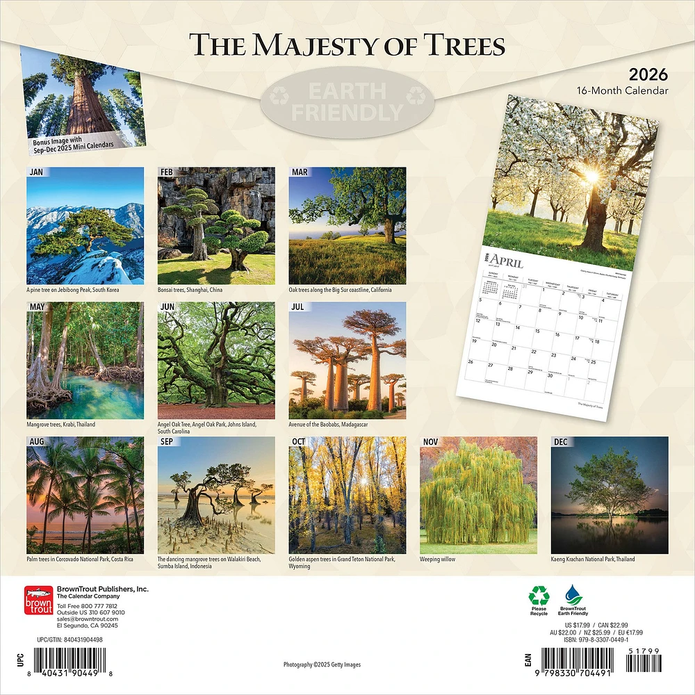 Majesty Of Trees 2026 Wall Calendar - Online Exclusive