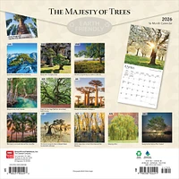 Majesty Of Trees 2026 Wall Calendar - Online Exclusive