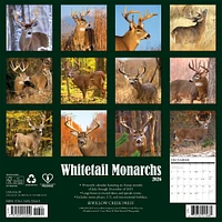 Whitetail Monarchs 2026 Wall Calendar