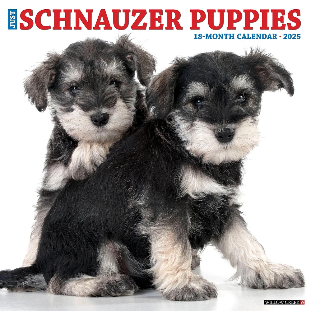 Just Schnauzer Puppies Wall 2025 Calendar