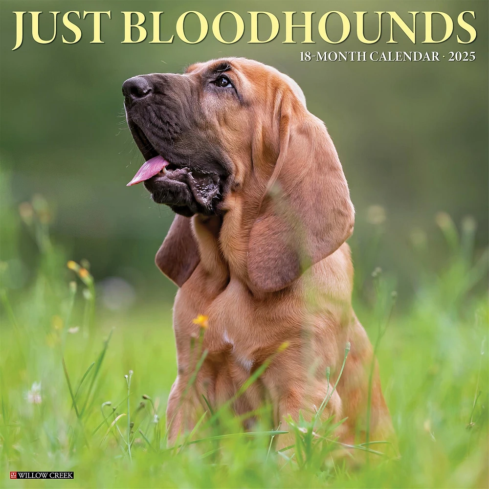 Just Bloodhounds Wall 2025 Calendar - Online Exclusive