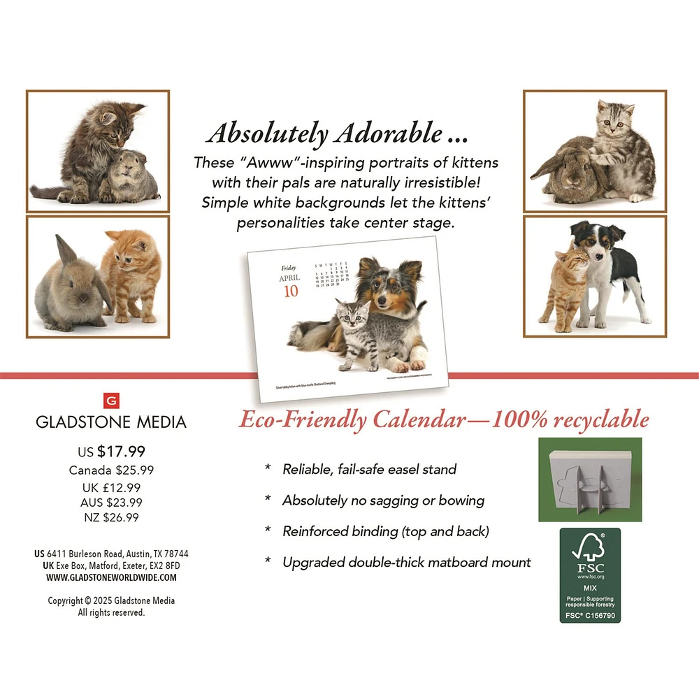 Kittens And Friends Box  2026 Calendar
