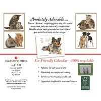 Kittens And Friends Box  2026 Calendar