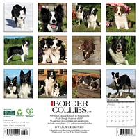 Just Border Collies 2026 Wall Calendar