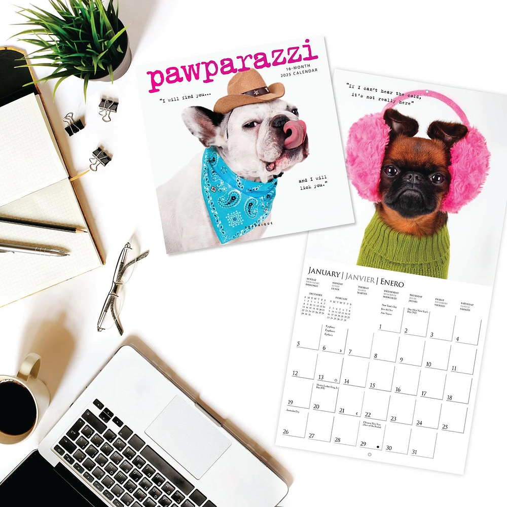 Pawparazzi Mini 2025 Calendar