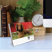 Just Dachshunds 2026 Box Calendar