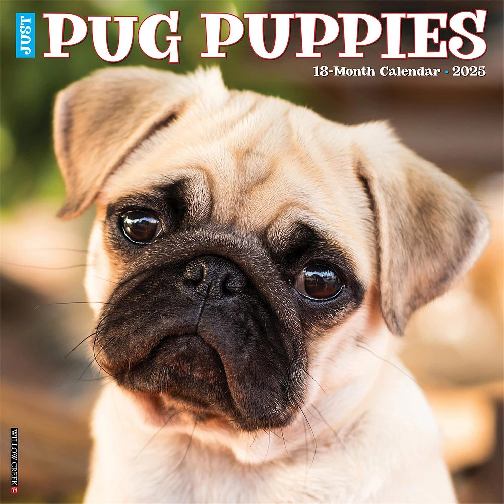 Just Pug Puppies Wall 2025 Calendar