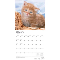 Ginger Cats 2026 Wall Calendar