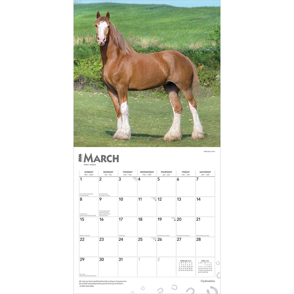 Clydesdales 2026 Wall Calendar - Online Exclusive