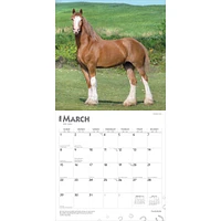 Clydesdales 2026 Wall Calendar - Online Exclusive