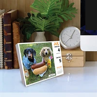 Crusoe The Celebrity Dachshund 2026 Box Calendar - Online Exclusive