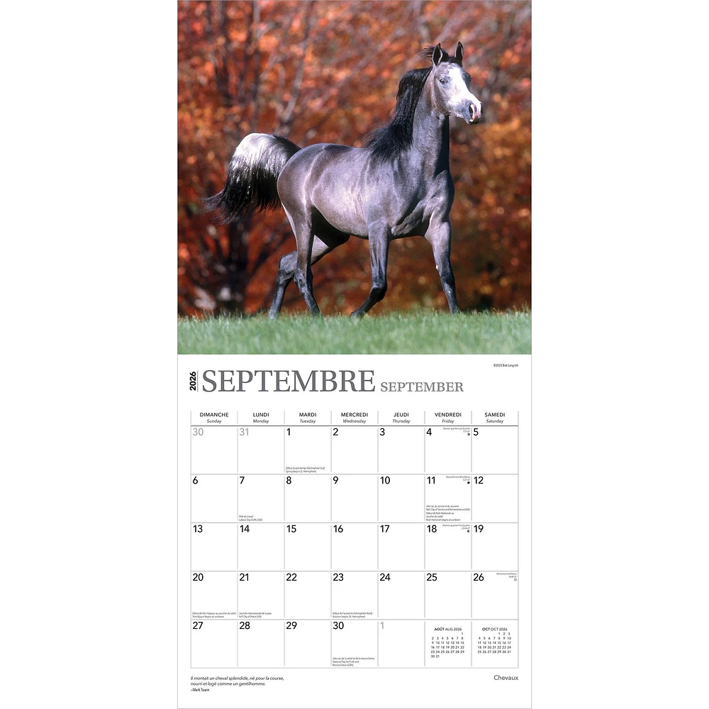 Chevaux 2026 Wall Calendar (French)