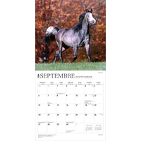 Chevaux 2026 Wall Calendar (French)