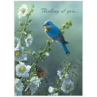 Songbirds 2026 Deluxe Special Edition Wall Calendar with Cards