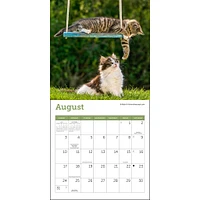 Cats Mini 2025 Calendar