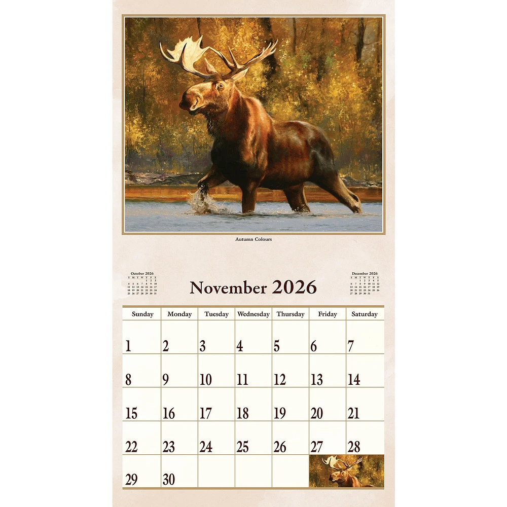 Animal Instincts 2026 Wall Calendar - Online Exclusive