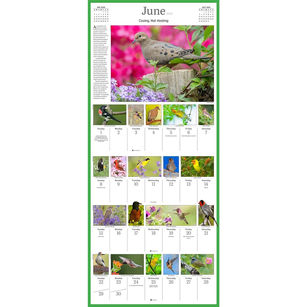 Audubon Songbirds 365 Wall 2025 Calendar