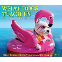 What Dogs Teach Us 2026 Box Calendar