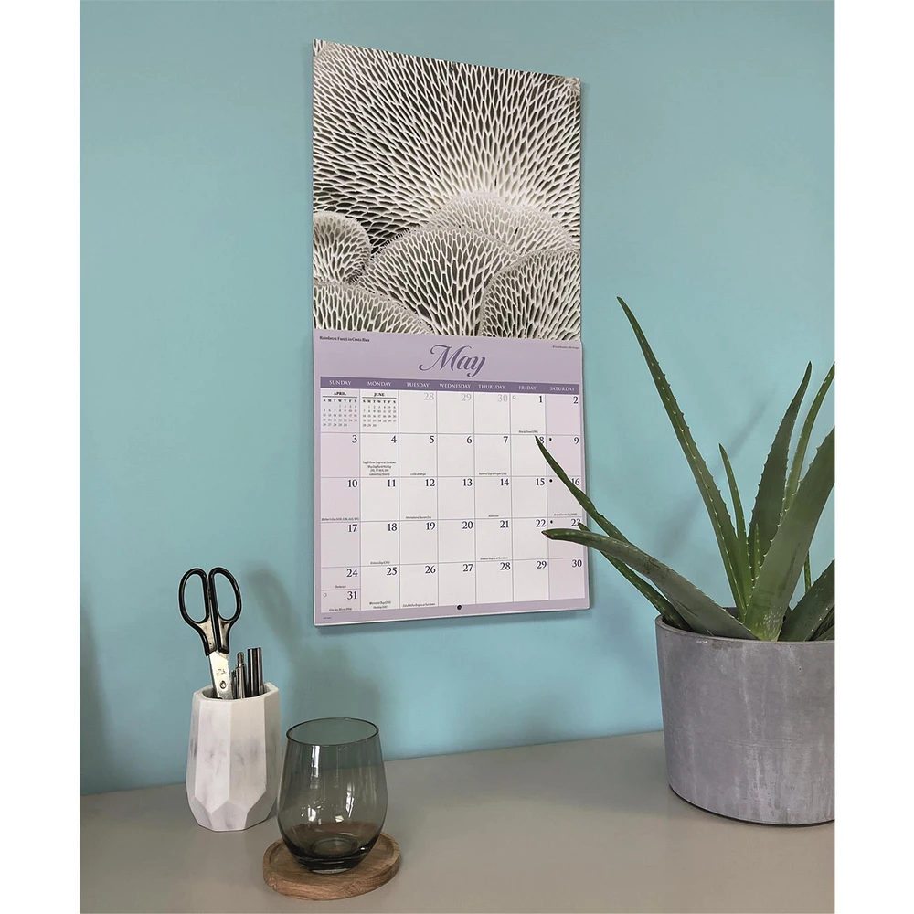 Natures Wonders 2026 Wall Calendar