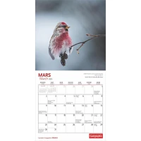 Canadian Geographic Oiseaux Mini 2025 Calendar (French)