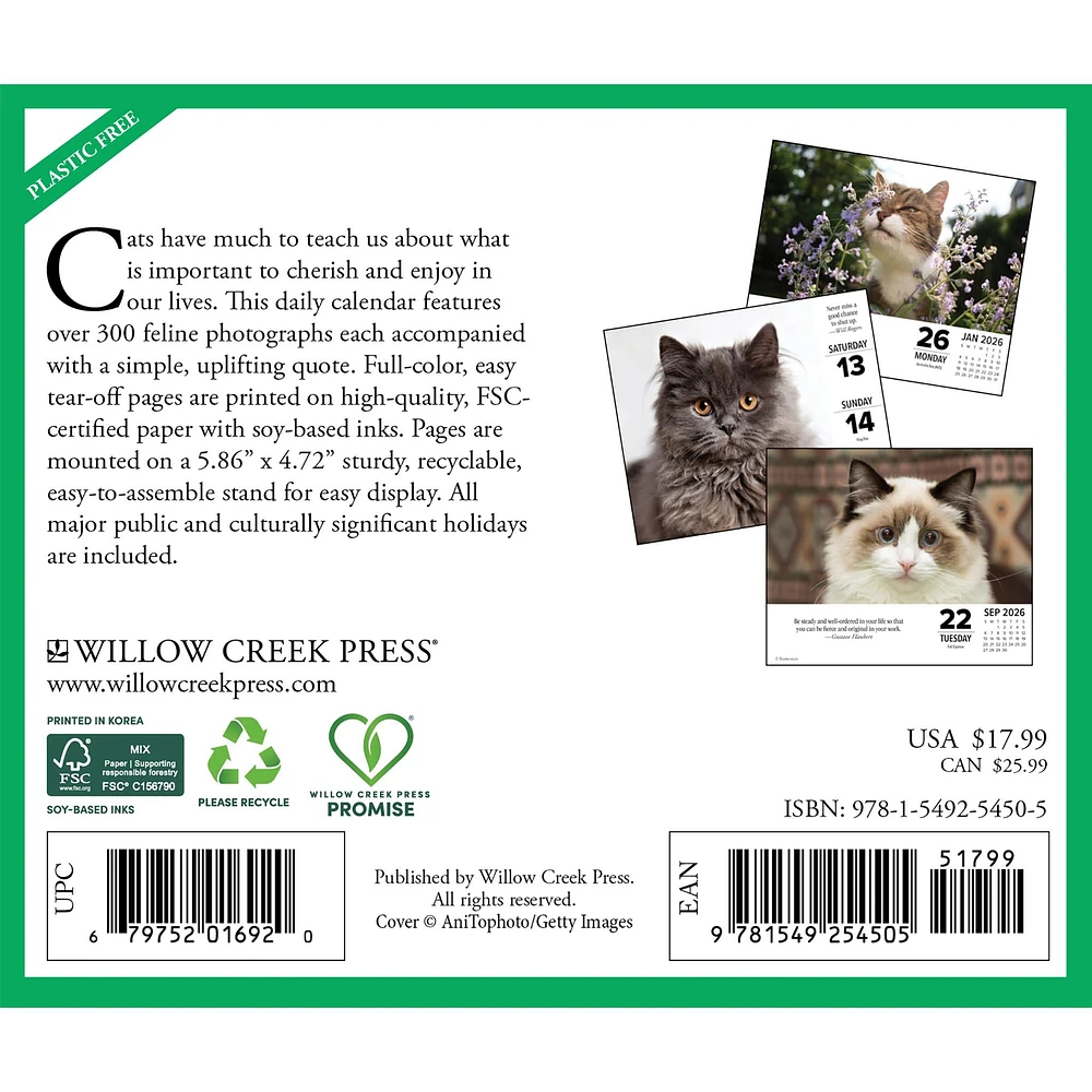 What Cats Teach Us 2026 Box Calendar