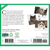 What Cats Teach Us 2026 Box Calendar