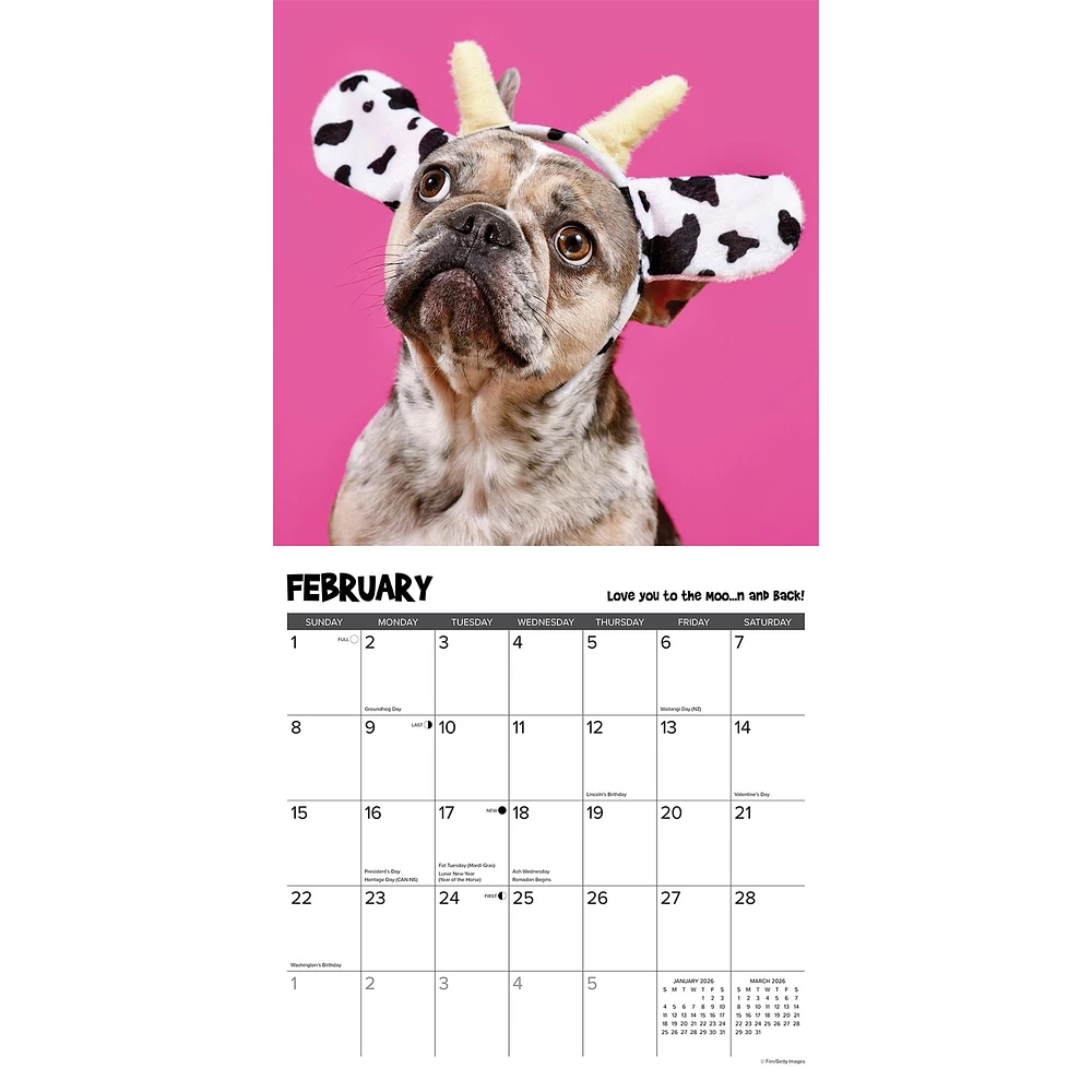 Pardon My Frenchie 2026 Wall Calendar